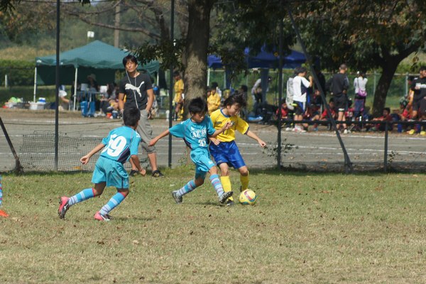 写真６