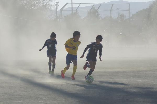 写真７