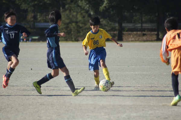 写真８