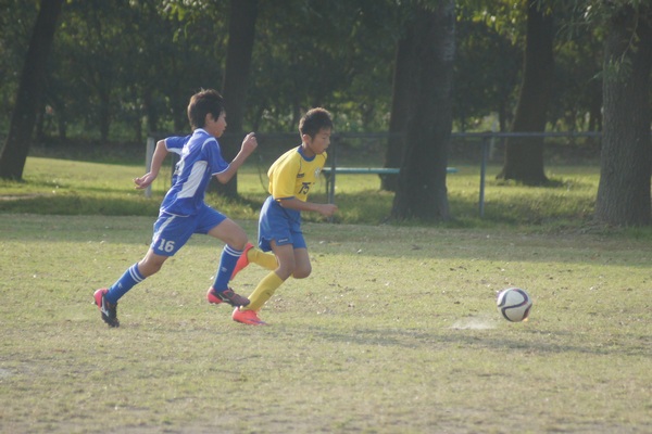 写真１