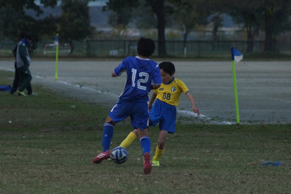 写真７
