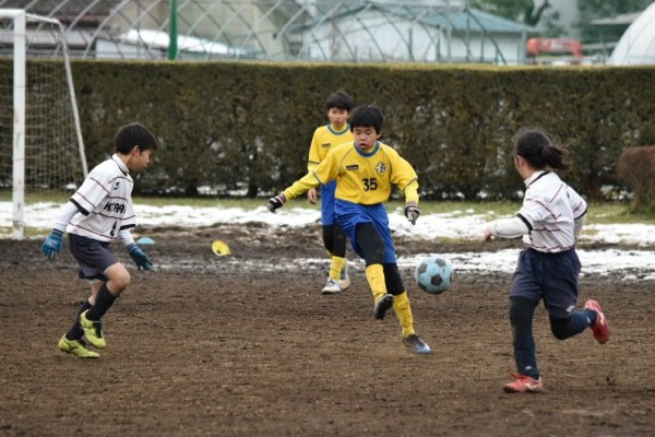 写真７