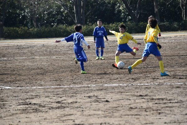 写真７