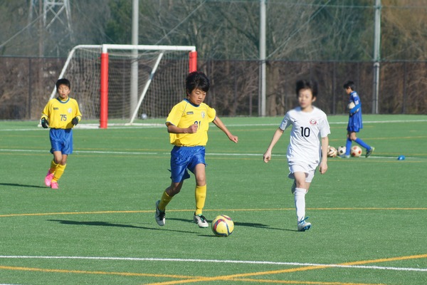 写真１