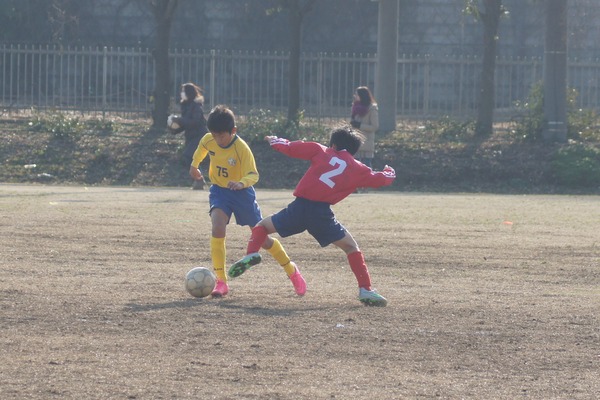 写真６