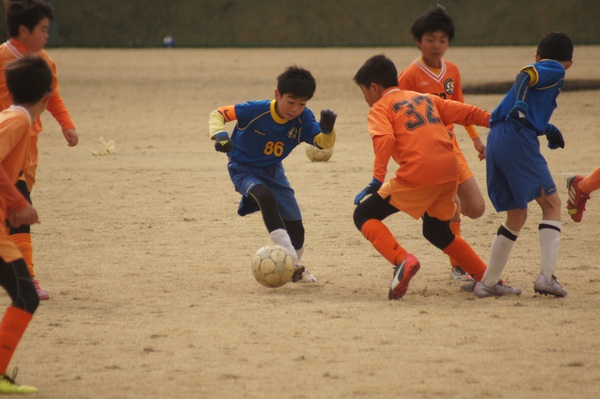 写真７