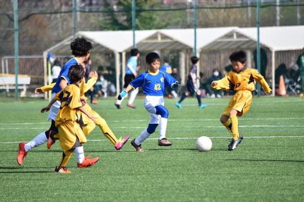 写真７