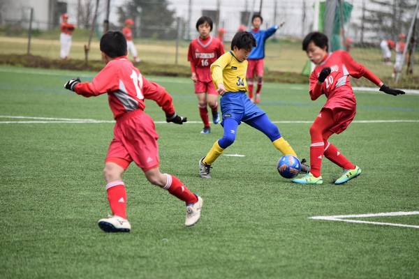 写真１