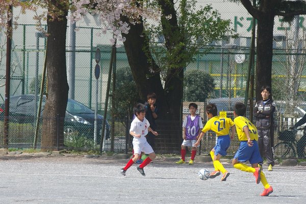 写真１