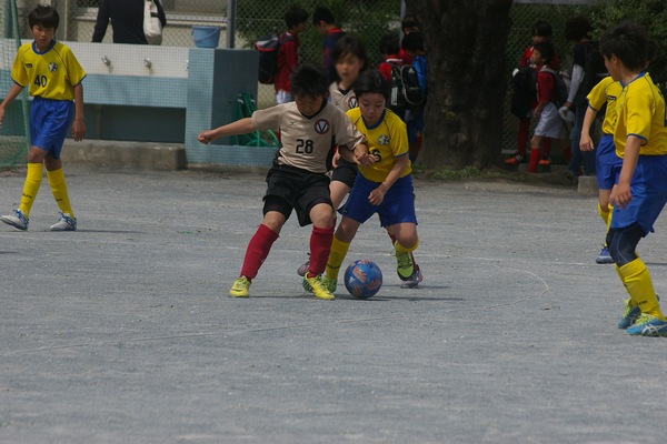 写真７