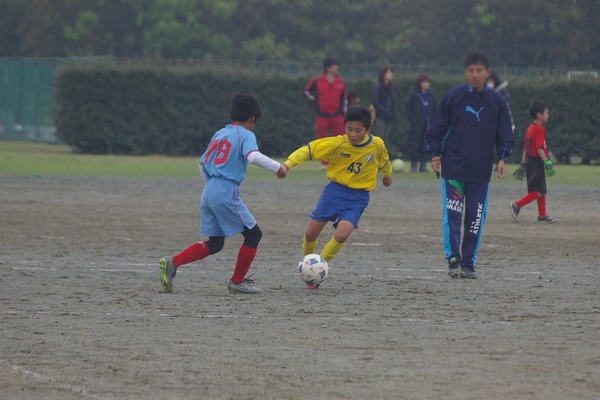 写真２