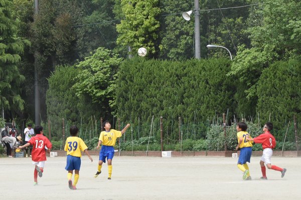 写真７