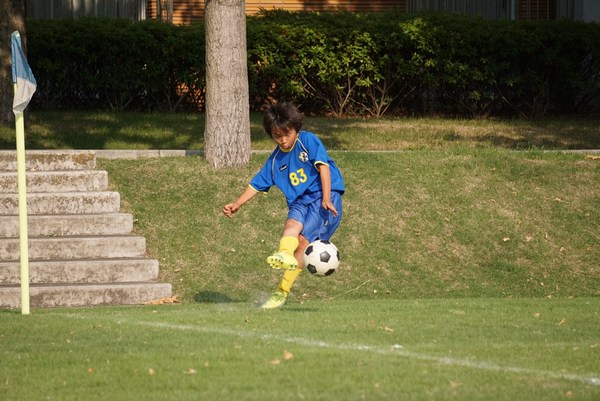 写真１０