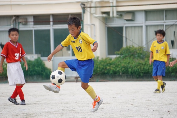 写真１１