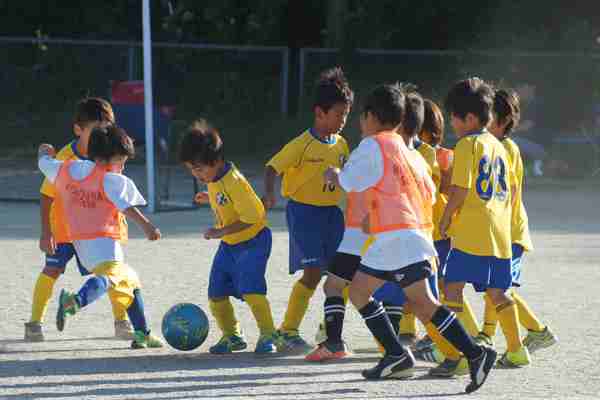 写真６