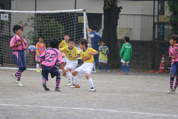 写真７