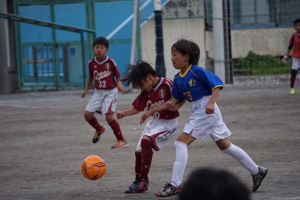 写真１１