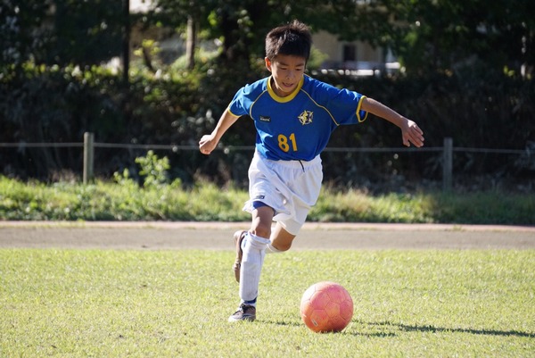 写真１１
