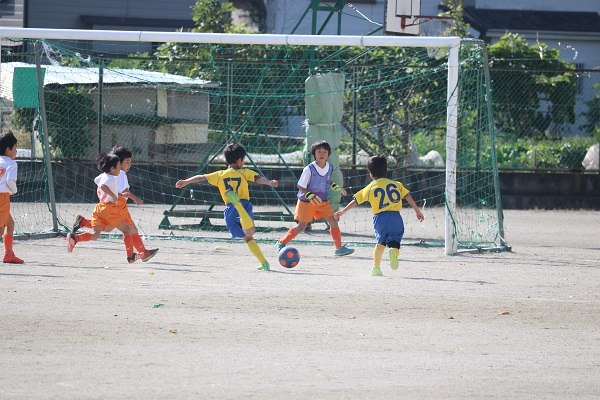 写真１