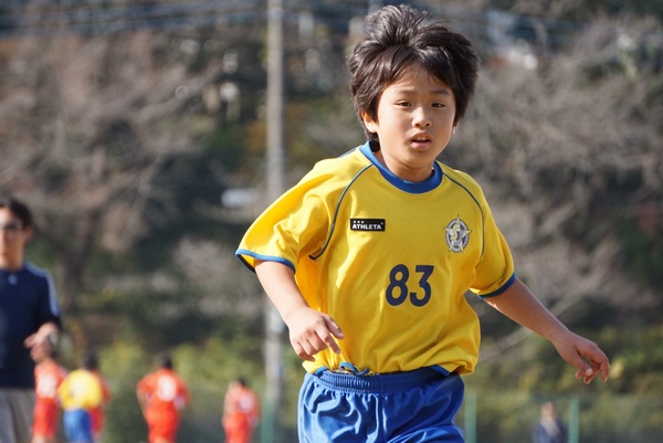 写真１１