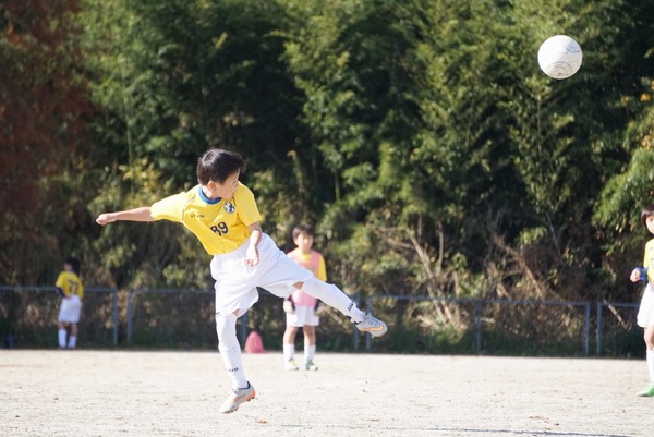 写真３
