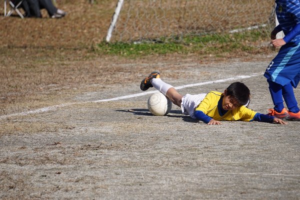 写真８