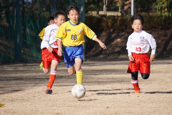 写真９