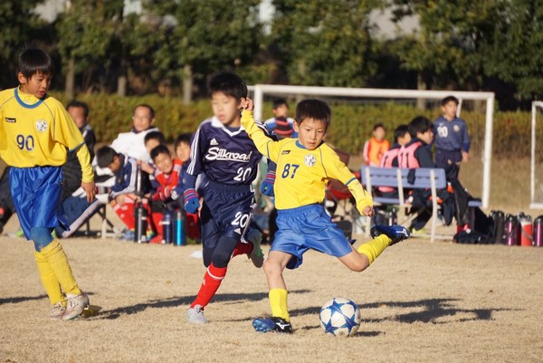 写真１１