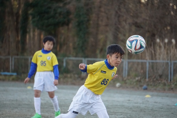 写真７