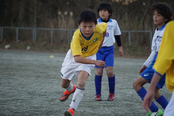 写真８