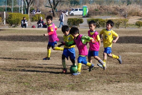 写真１