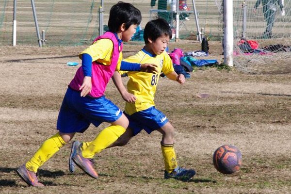 写真６