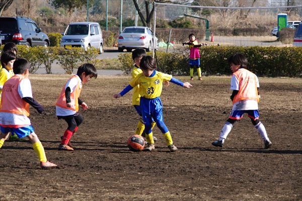 写真７