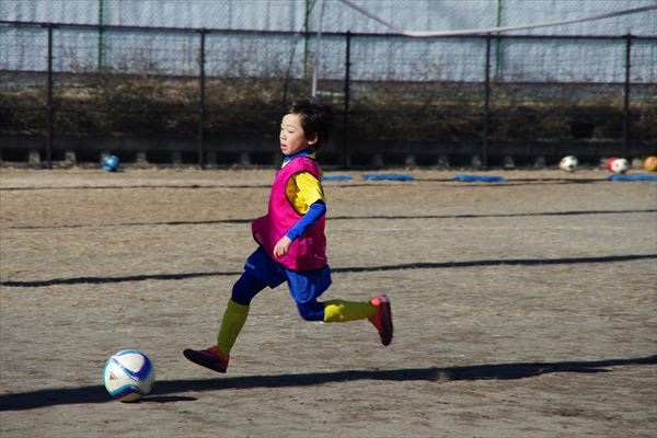 写真６