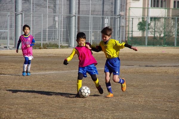 写真７