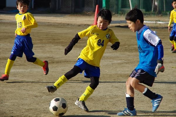 写真２