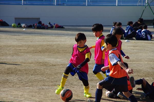 写真７