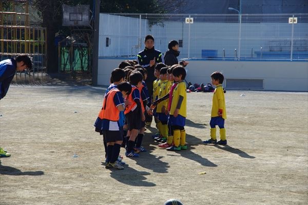 写真１１