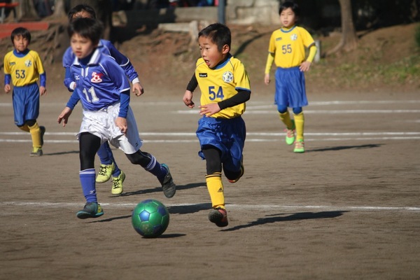 写真１