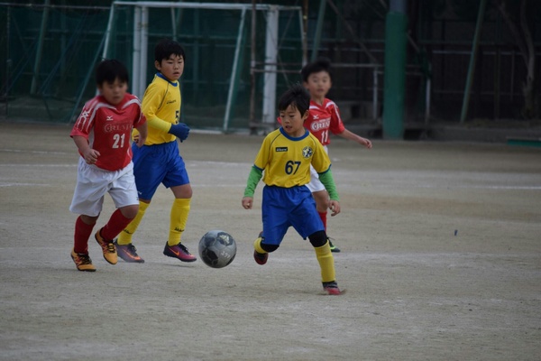 写真７