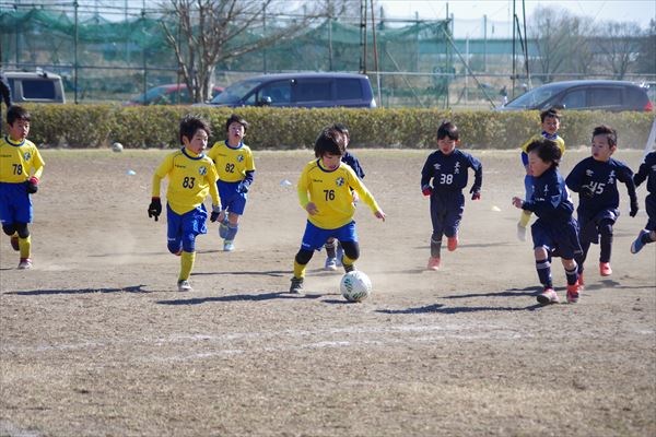 写真７