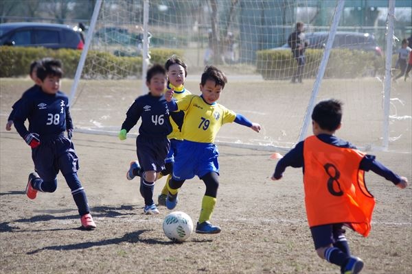写真８