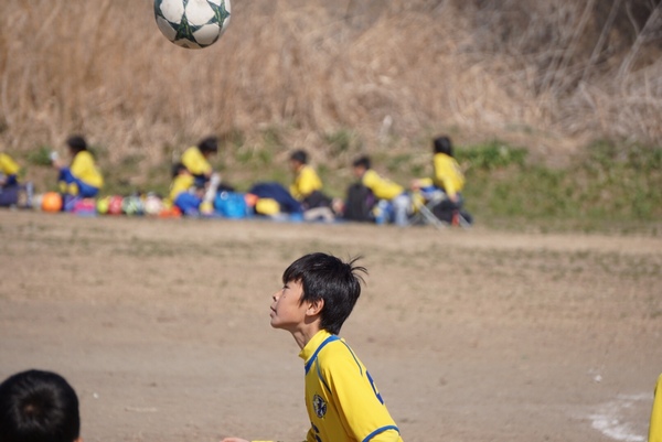 写真１