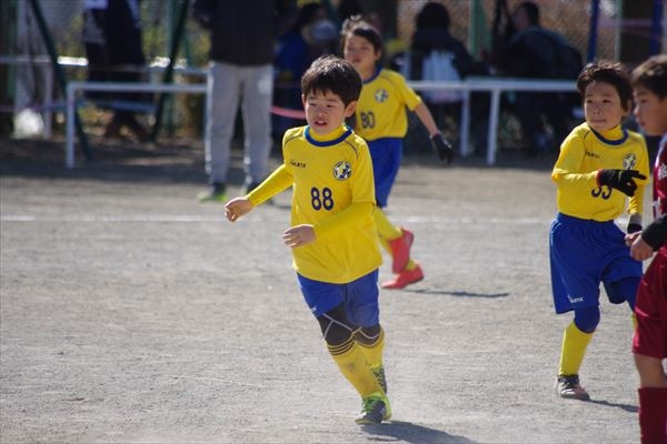 写真７