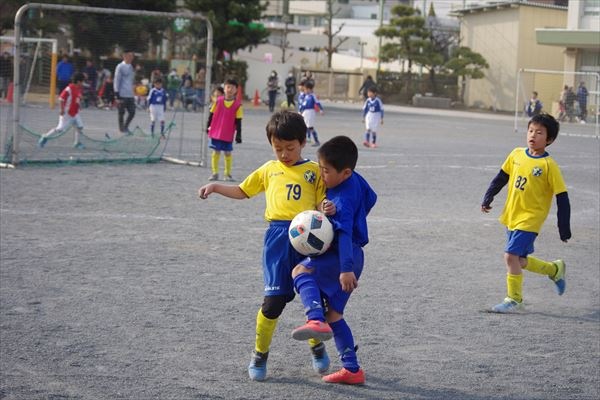 写真８